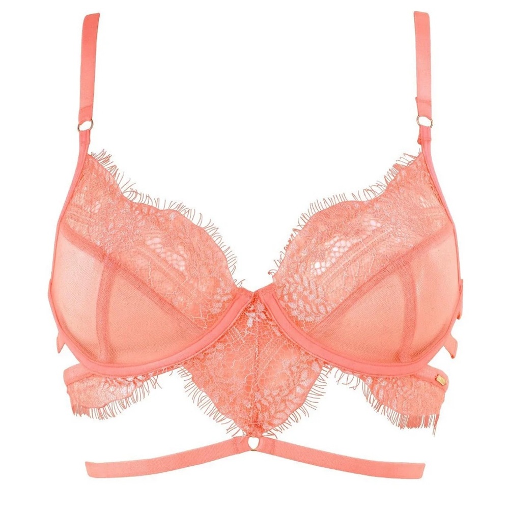Bluebella Coral Lace Bra